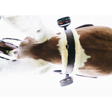 Подпруга конкурная с мехом от Kentucky Horsewear