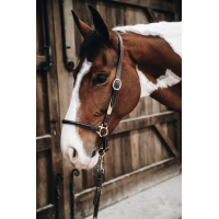 Недовуздок шкіряний Flexible Brown від Kentucky Horsewear
