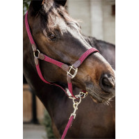 Недоуздок Plaited Nylon Bordeaux от Kentucky Horsewear Недоуздок Plaited Nylon Bordeaux от Kentucky Horsewear