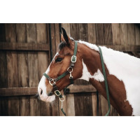 Недоуздок Plaited Nylon Olive Green от Kentucky Horsewear
