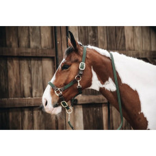 Недоуздок Plaited Nylon Olive Green от Kentucky Horsewear
