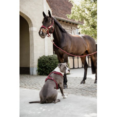 Чумбур Basic Bordeaux от Kentucky Horsewear