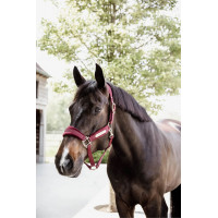 Недоуздок Velvet Bordeaux от Kentucky Horsewear