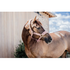 Недоуздок Teddy Fleece Old Rose от Kentucky Horsewear