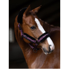 Комплект: Недовуздок з хутром та чумбур Black Raven від Equestrian Stockholm