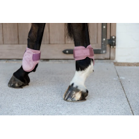 Ногавки задние для молодых лошадей Young Velvet Old Rose  от Kentucky Horsewear