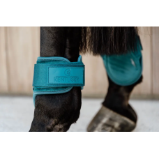 Ногавки задні для молодих коней Young Horse Velvet Emerald від Kentucky Horsewear Ногавки задні для молодих коней Young Horse Velvet Emerald від Kentucky Horsewear