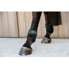 Ногавки задні для молодих коней Young Horse Velvet Dark Green від Kentucky Horsewear Ногавки задні для молодих коней Young Horse Velvet Dark Green від Kentucky Horsewear