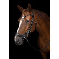 Уздечка Bristol от Utzon Equestrian