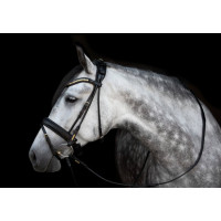 Вуздечка Olympic від Utzon Equestrian Вуздечка Olympic від Utzon Equestrian