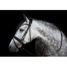 Вуздечка Olympic від Utzon Equestrian