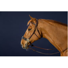 Вуздечка Hackamore від Dy'on