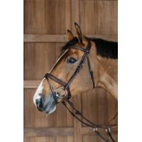 Вуздечка Plaited Flash від Dy'on