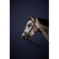 Вуздечка Hackamore від Dy'on