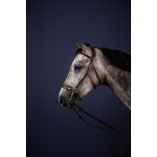 Вуздечка Hackamore від Dy'on