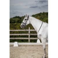 Вуздечка з широким капсулем White Padding Rond Leather Collection від Dy"on Вуздечка з широким капсулем White Padding Rond Leather Collection від Dy"on