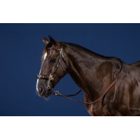 Вуздечка Hackamore від Dy'on Вуздечка Hackamore від Dy'on