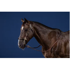 Вуздечка Hackamore від Dy'on