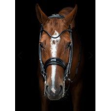 Оголів'я Edinburgh Black/Black від Utzon Equestrian
