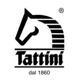 Tattini