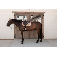 Вальтрап конкурный Velvet Mini Pearls от Kentucky Horsewear