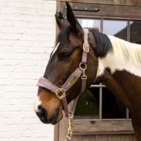 Недоуздок Velvet light purple от Kentucky Horsewear