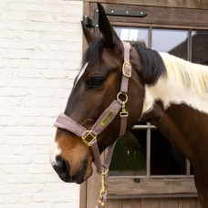 Недоуздок Velvet light purple от Kentucky Horsewear