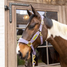 Недоуздок Velvet purple от Kentucky Horsewear