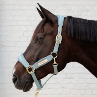 Недоуздок Velvet light blue от Kentucky Horsewear