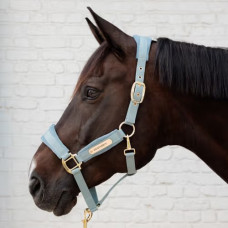 Недоуздок Velvet light blue от Kentucky Horsewear