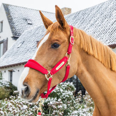 Недоуздок Velvet red от Kentucky Horsewear