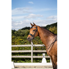Оголів'я з широким капсулем Matte Large Crank Noseband Round Leather Collection від Dy'on