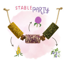 Деревянная игрушка для лошади  Stable Party от Herby Horse