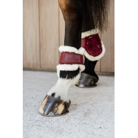 Ногавки задні для молодих коней з хутром Young Horse Velvet Bordeaux від Kentucky Horsewear