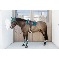 Ногавки задні для молодих коней з хутром Young Horse Velvet Emerald від Kentucky Horsewear