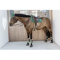 Ногавки задні для молодих коней з хутром Young Horse Velvet Dark Green від Kentucky Horsewear