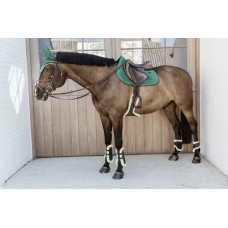 Ногавки задні для молодих коней з хутром Young Horse Velvet Dark Green від Kentucky Horsewear