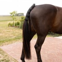 Нахвостник  Pro от Kentucky Horsewear
