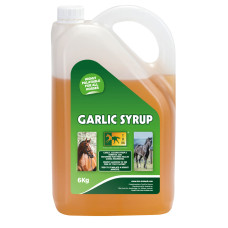 Чесночный сироп с глюкозой Garlic Syrup от TRM