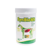 Добавка для пищеварительной системы с пробиотиками SynBioVit от TRM