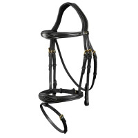 Уздечка с комбинированным капсюлем Anatomic Flash Noseband от Dy'on