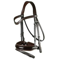 Уздечка с комбинированным капсюлем Patent Large Crank Noseband With Flash от Dy'on
