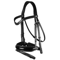 Уздечка с комбинированным капсюлем Patent Large Crank Noseband With Flash от Dy'on