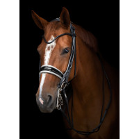 Оголів'я Edinburgh Black/White від Utzon Equestrian
