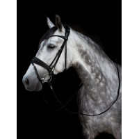 Уздечка London от Utzon Equestrian Уздечка London от Utzon Equestrian