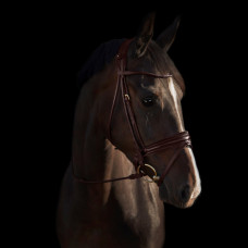 Вуздечка Edinburgh Brown/Brown від Utzon Equestrian
