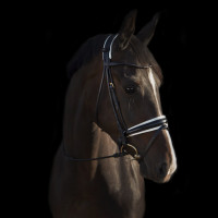 Уздечка Edinburgh Black/White от Utzon Equestrian