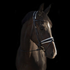 Вуздечка Edinburgh Black/White від Utzon Equestrian