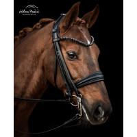 Оголов'я London від Utzon Equestrian Оголов'я London від Utzon Equestrian