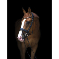 Уздечка Olympic от Utzon Equestrian